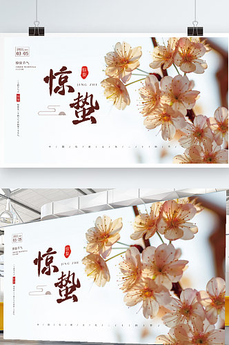 简约清新立春惊蛰传统节气海报宣传展板