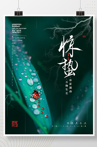 简约中国风惊蛰春分雨水摄影图节日节气海报