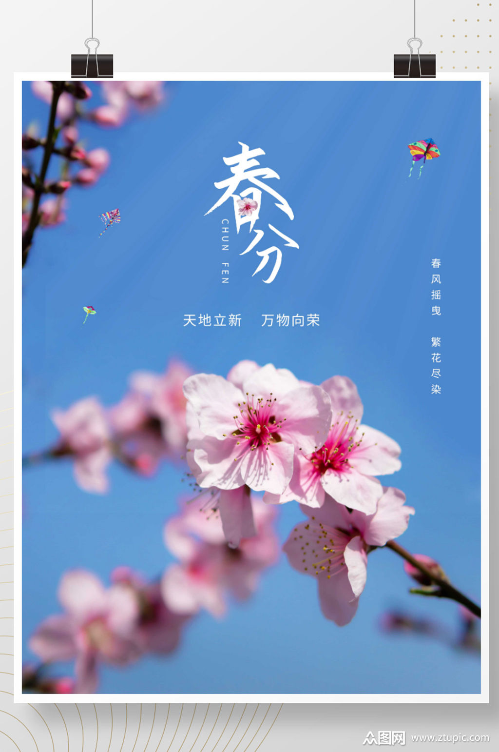 二十四节气春分春天惊蛰雨水节气桃花