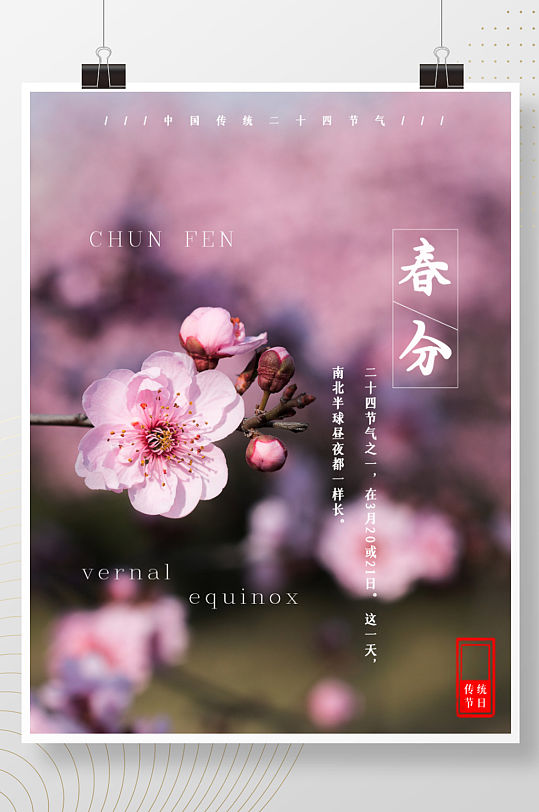 春分中国传统24节气海报粉色早安春天