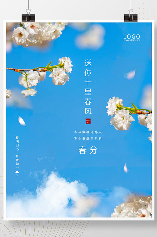 二十四节气春分立春白色樱花春天节气海报