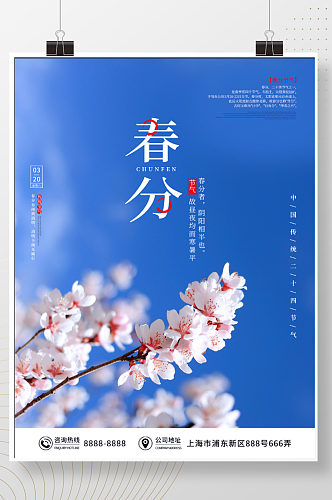 春天简约清新蓝色樱花春分节气海报