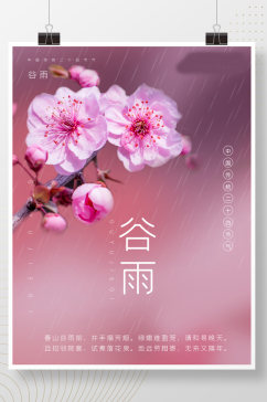 中国粉色清新唯美24节气谷雨海报
