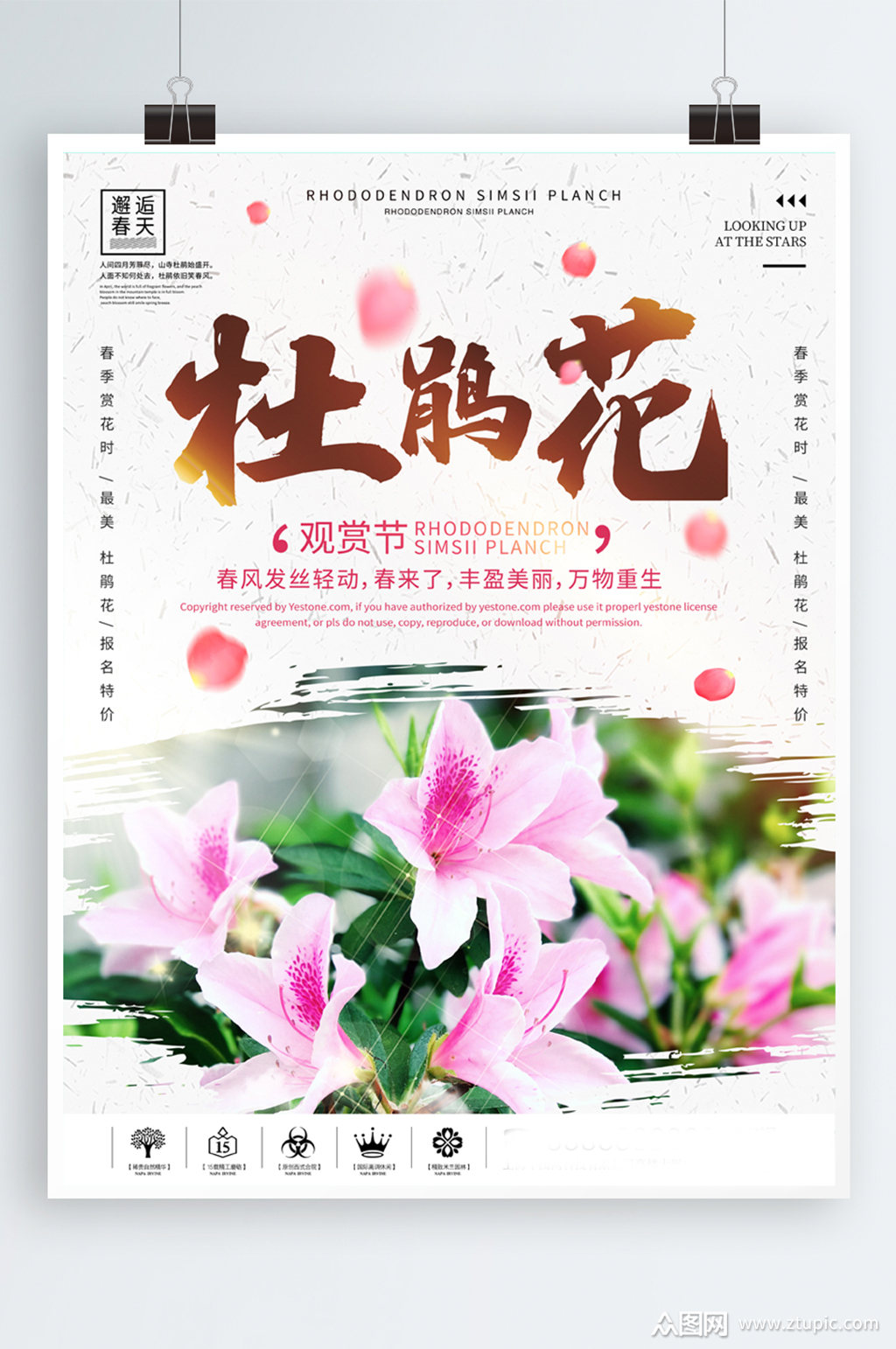 杜鹃花开春季游园赏花海报