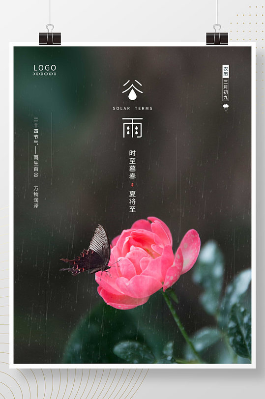 简约二十四节气谷雨雨水惊蛰蔷薇花简约海报