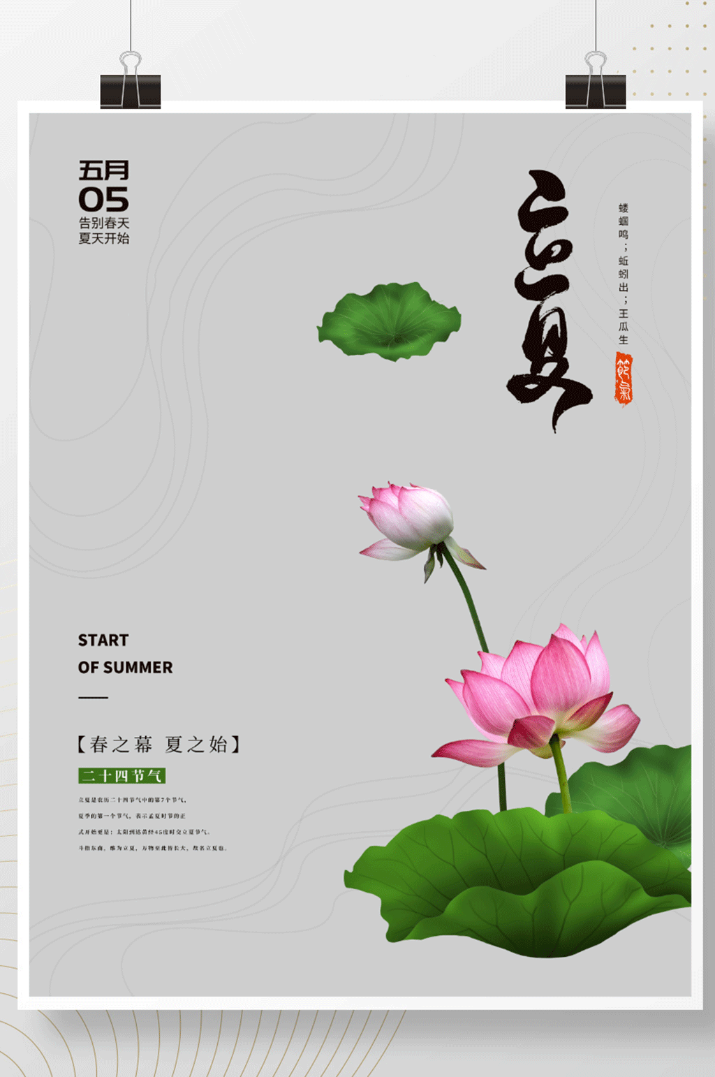 中国风荷花简约夏天立夏海报素材