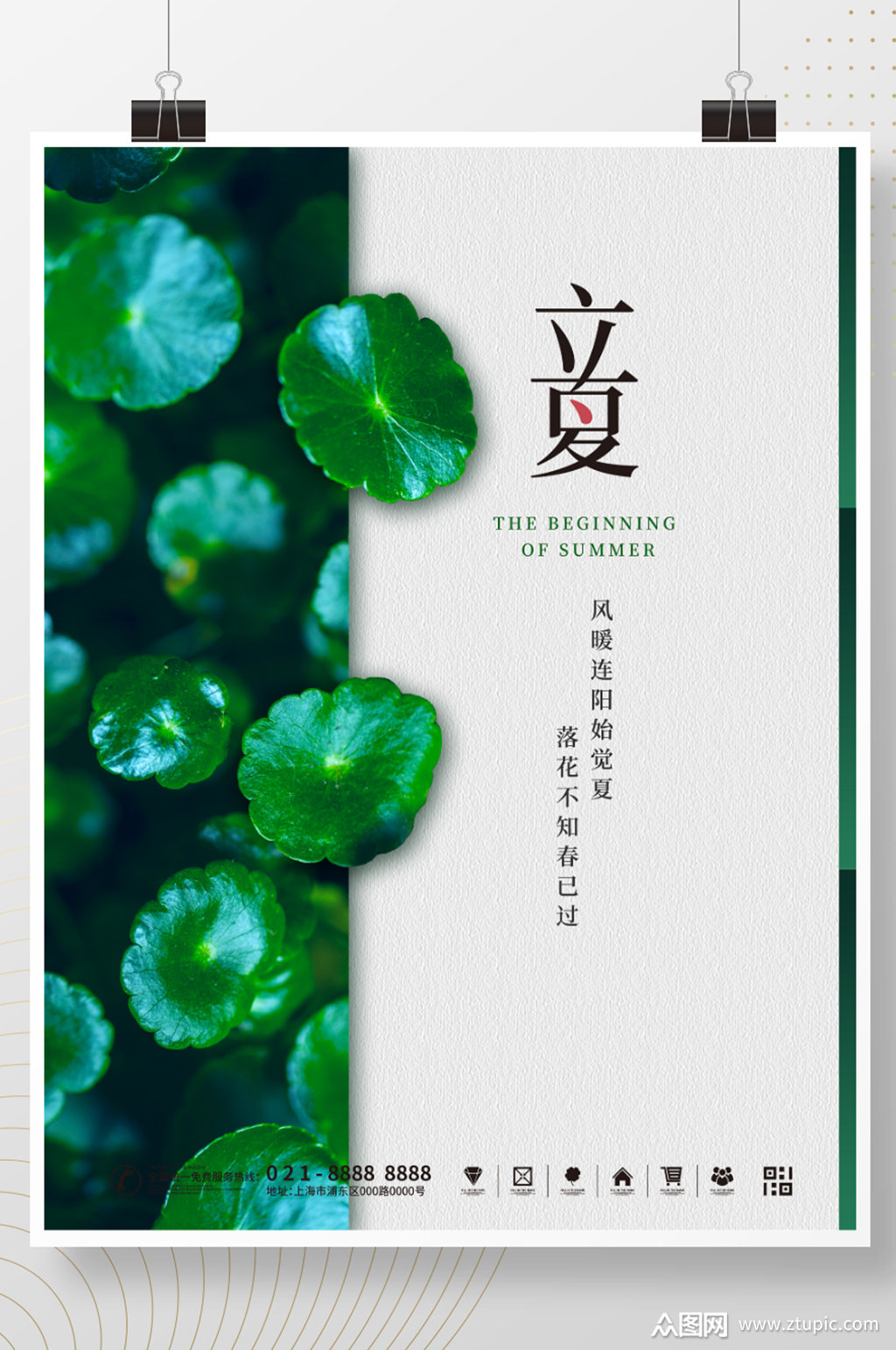 立夏节气简约荷叶大气宣传海报