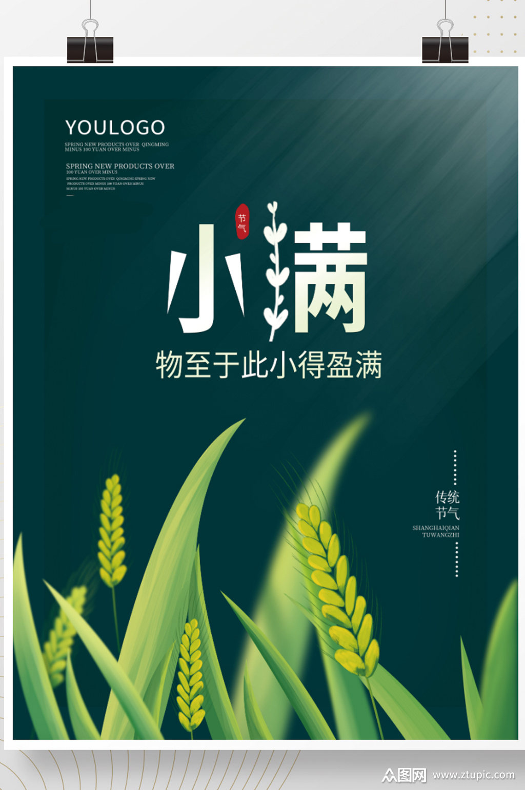 简约传统节气小满宣传海报夏季节日背景素材