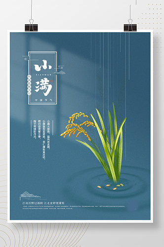 中国传统节气风小满麦子稻谷水滴简约海报