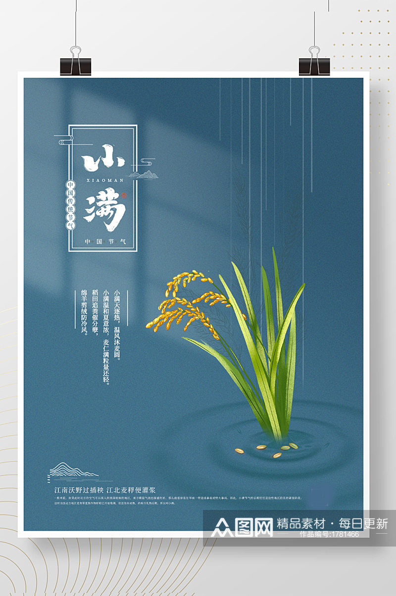 中国传统节气风小满麦子稻谷水滴简约海报素材