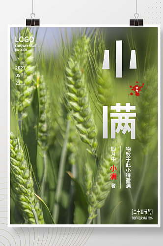 中国传统节气风小满麦子稻谷简约海报