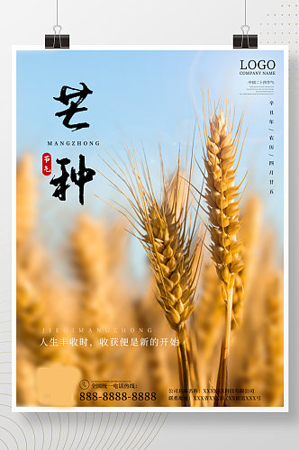 原创芒种二十四节气小麦大气简约宣传海报