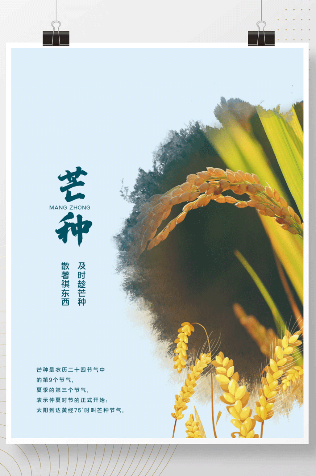 芒种清新简约海报素材