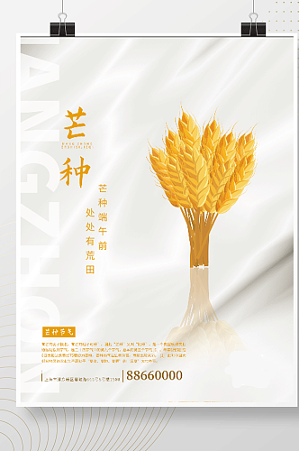 中国二十四节气简洁芒种小满金色小麦海报