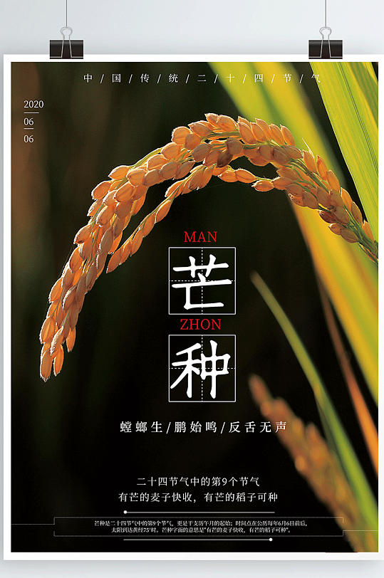 原创简约大气二十四节气芒种海报