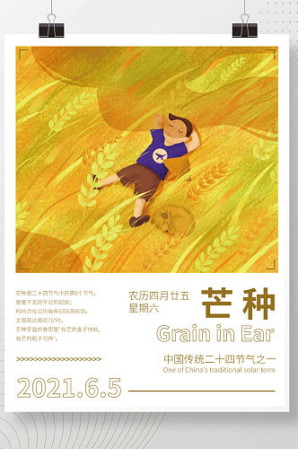 中国传统二十四节气芒种节日海报