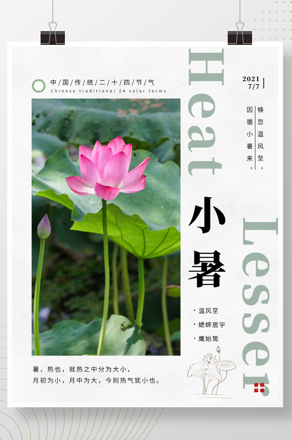 简约中国风夏天荷花二十四节气小暑节气素材