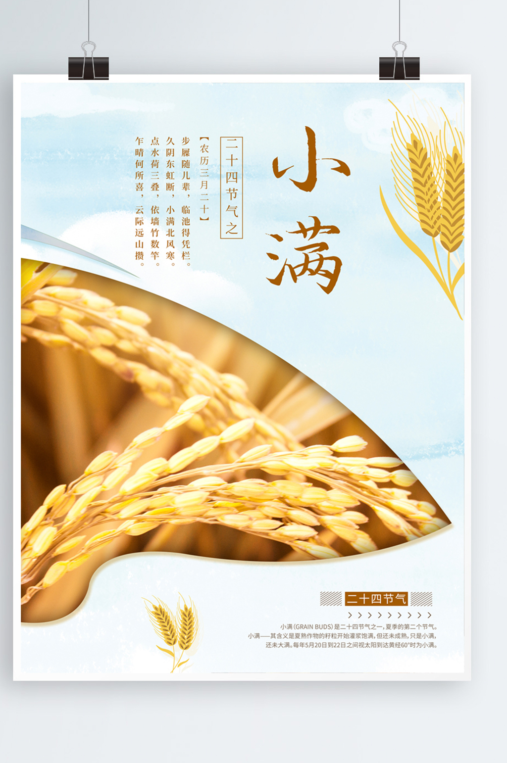 二十四节气之小满节气海报素材
