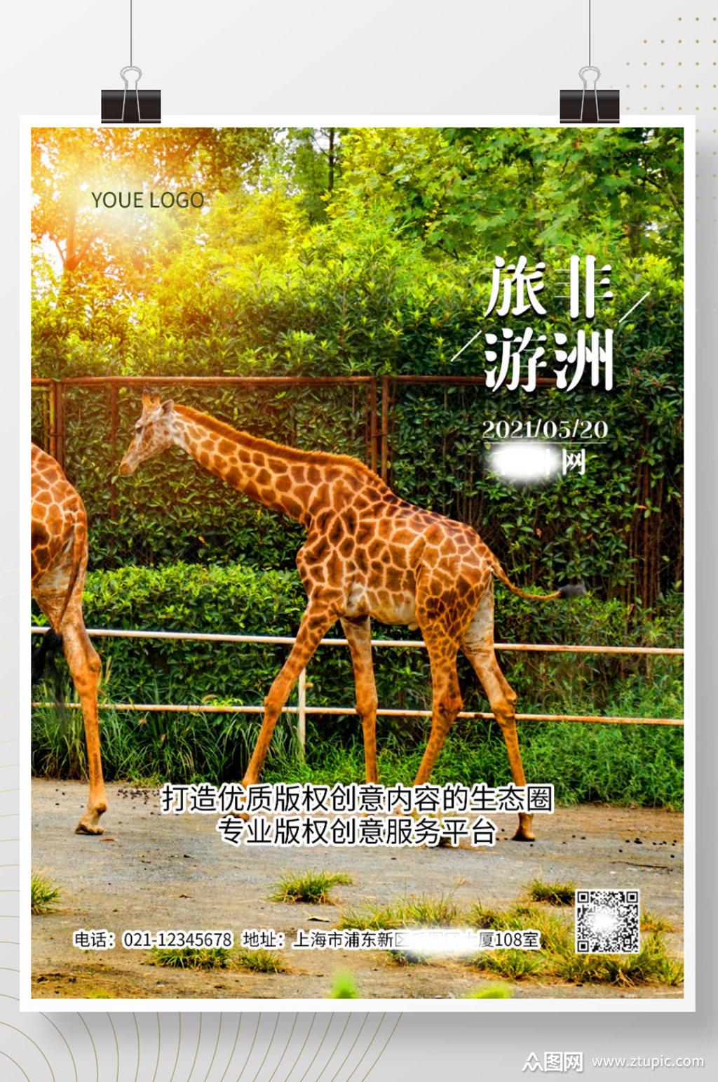非洲旅游见闻记录(非洲旅游见闻记录图片)