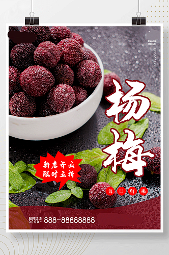 餐饮美食水果海报杨梅摄影海报