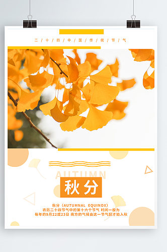 小清新几何简约秋分中国传统二十四节气海报