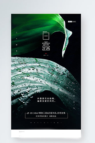 白露节气房产绿色植物摄影手机海报