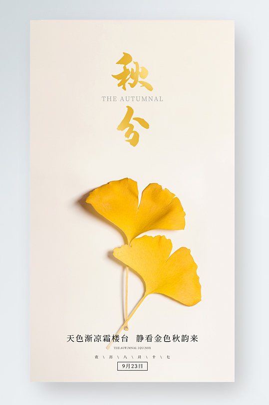 秋分传统24节气秋天叶子银杏手机广告海报