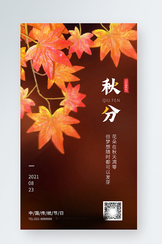 传统节日二十四节气秋分枫叶落叶思念的季节