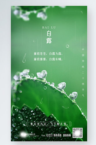 白露节气绿色露珠叶子环保清新简约手机海报