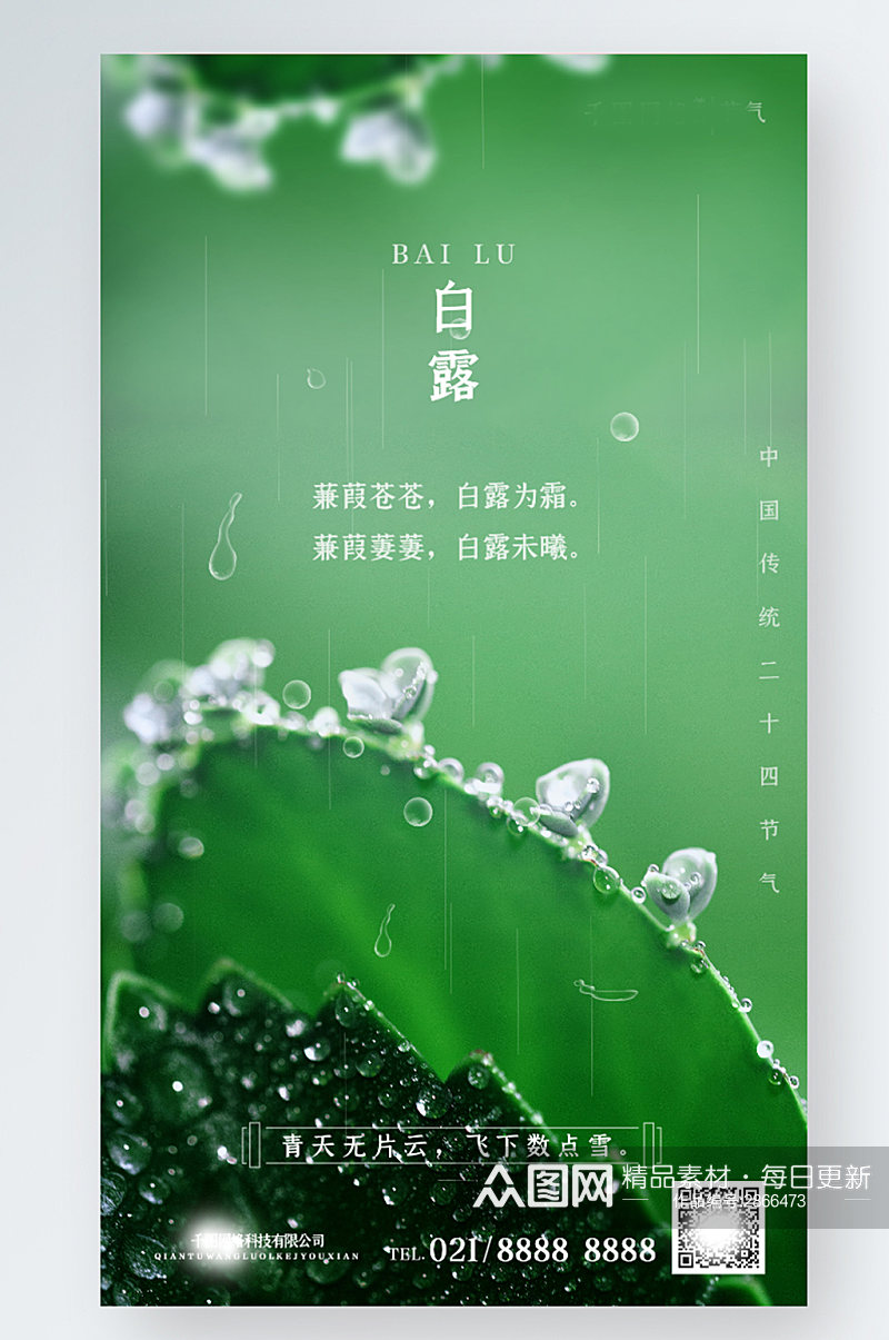 白露节气绿色露珠叶子环保清新简约手机海报素材