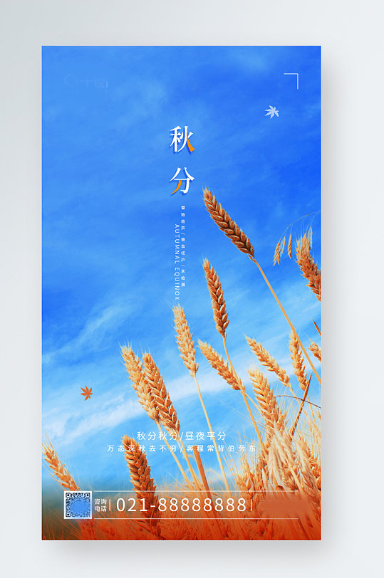 秋分小麦简约风景节气日签手机海报