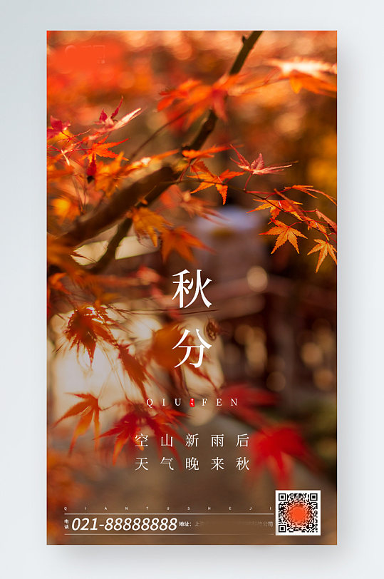 秋分节气枫叶摄影图手机海报