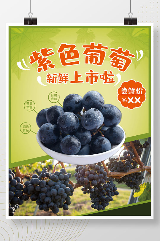 新鲜紫色葡萄海报