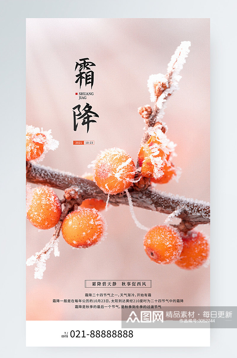 霜降节气红果子摄影图手机海报素材