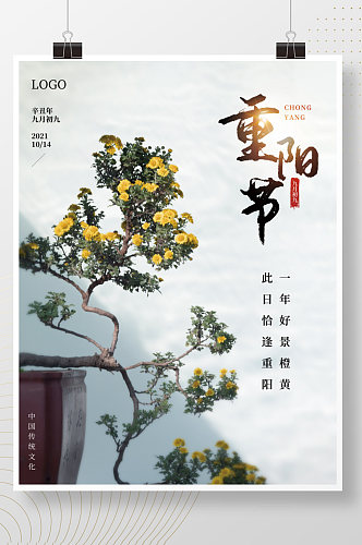 重阳节赏菊菊花地产中式海报