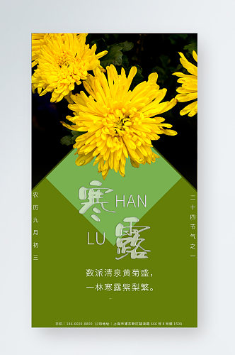 寒露手机海报中国二十四节气宣传图摄影图