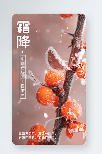 霜降中国风柿子树gif手机海报