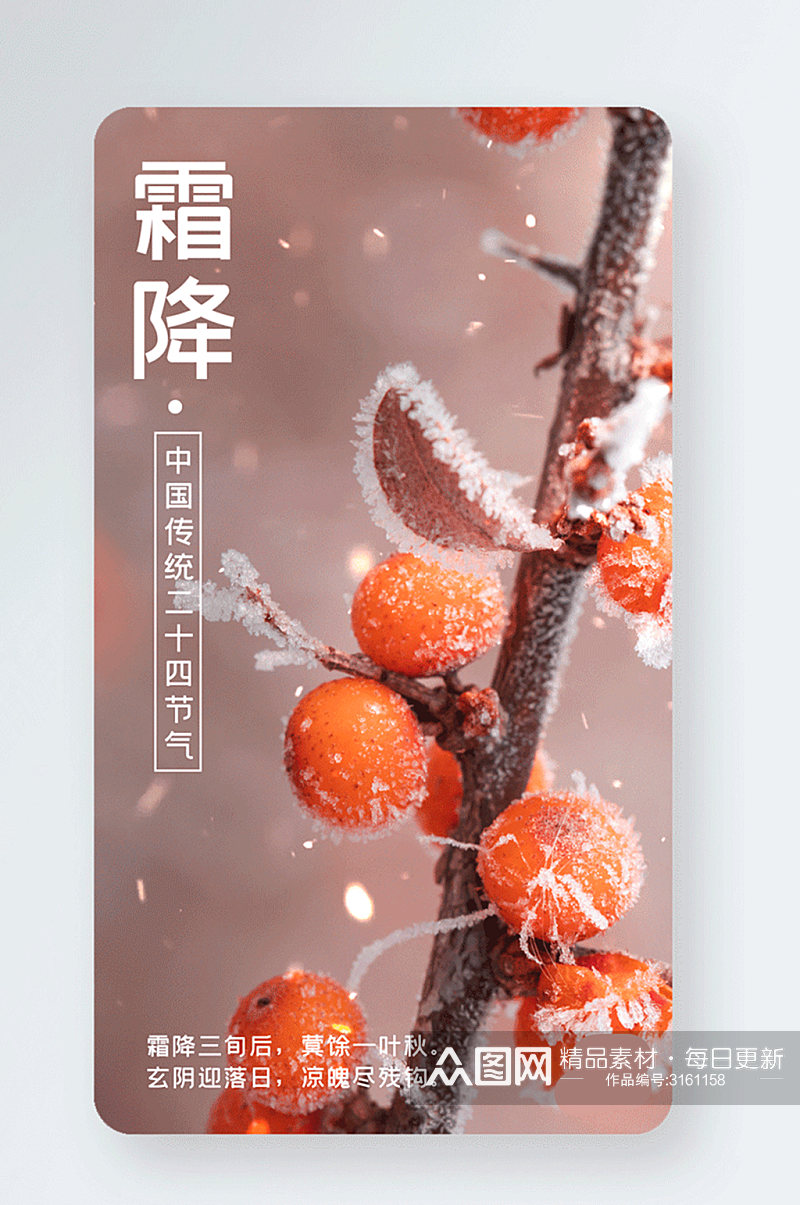 霜降中国风柿子树gif手机海报素材