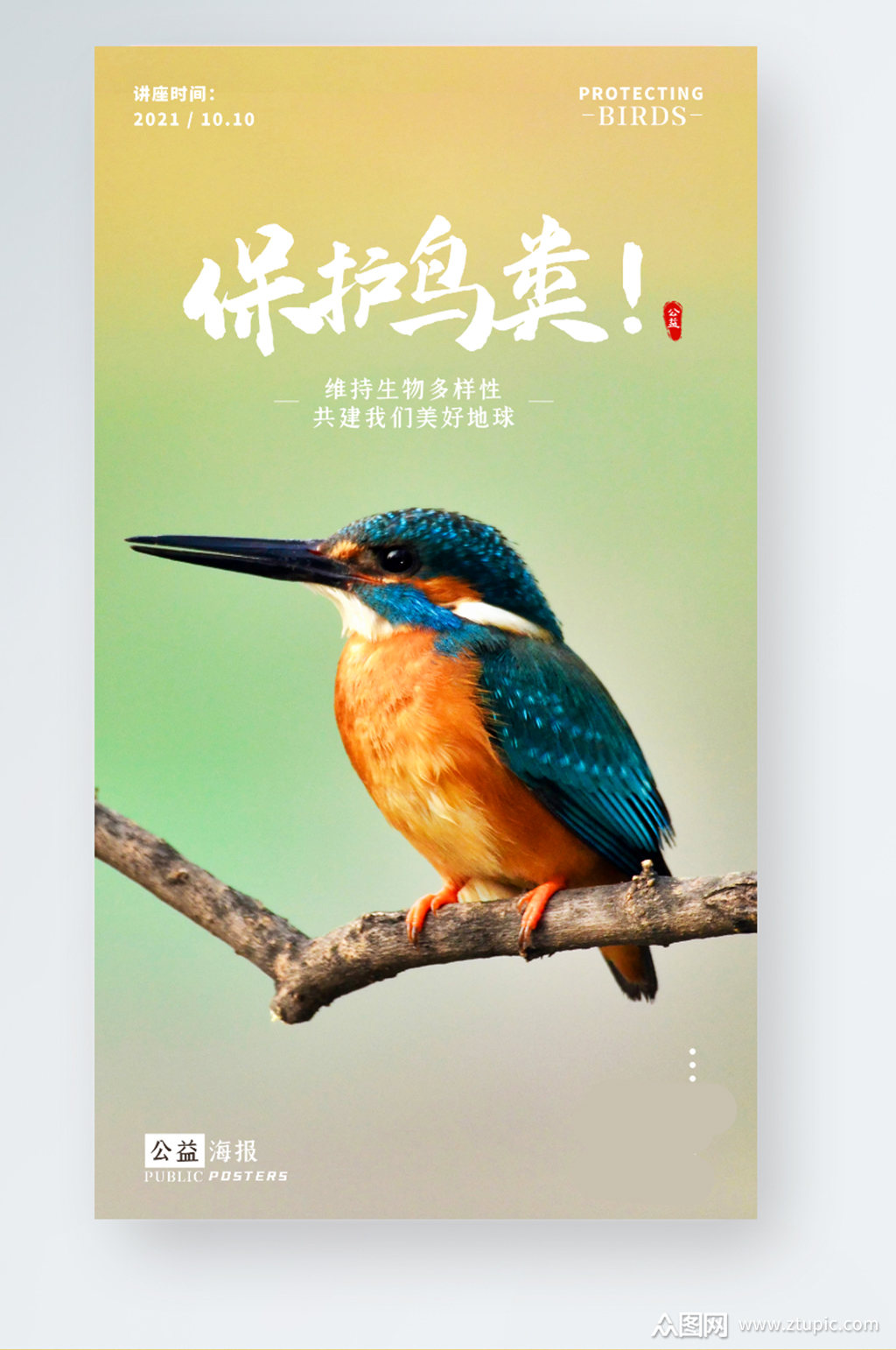 简约风保护鸟类公益讲座手机海报素材