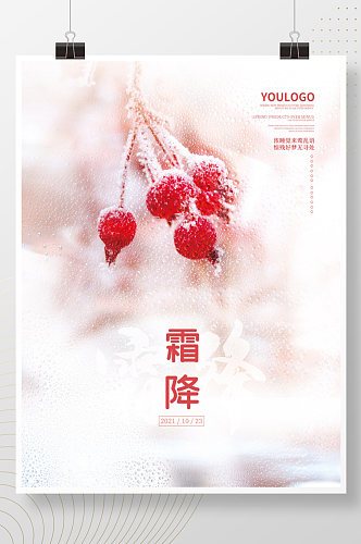 留白大气霜降节气摄影海报结冰植物背景素材