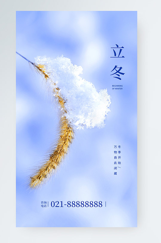 立冬传统节气宣传简约日签手机海报