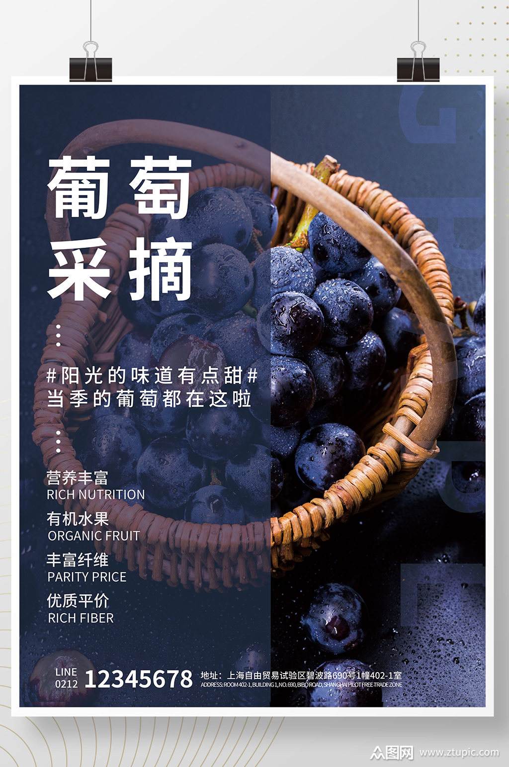 简约文艺小清新葡萄采摘宣传海报素材