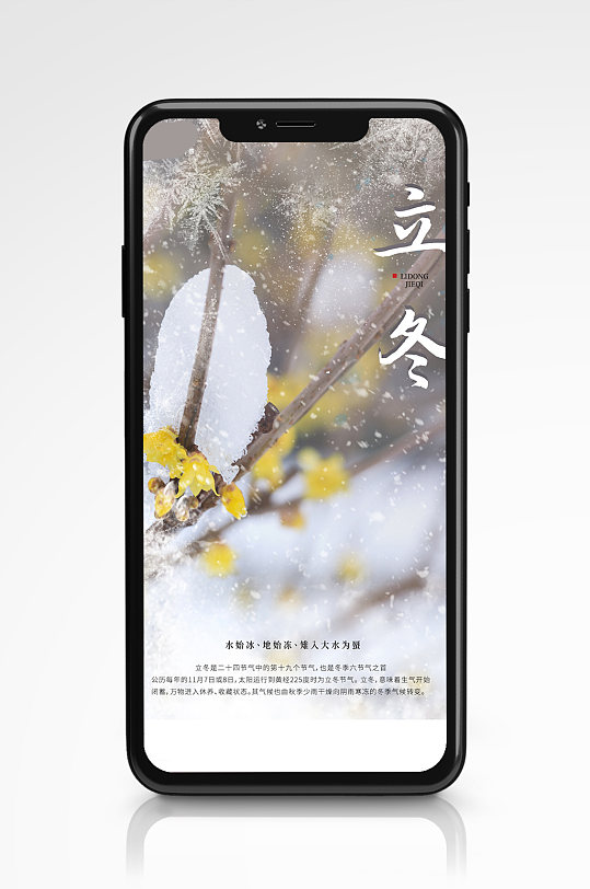 简约立冬大气宣传手机海报冬季下雪