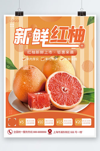 清新生鲜食品水果柚子简约创意海报西柚