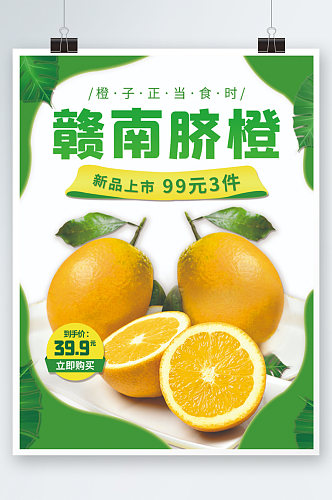赣南脐橙子食品水果生鲜海报标签价格