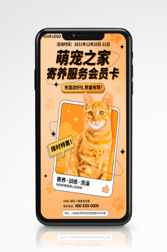宠物服务寄养洗护手机海报可爱护理