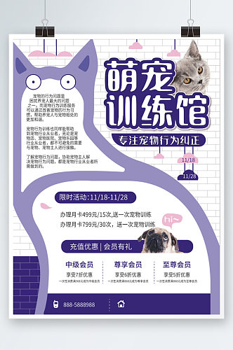 宠物训练行为纠正宣传海报紫色训练馆萌宠