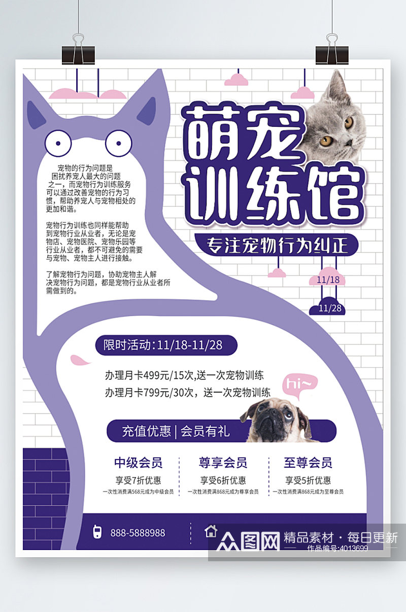 宠物训练行为纠正宣传海报紫色训练馆萌宠素材