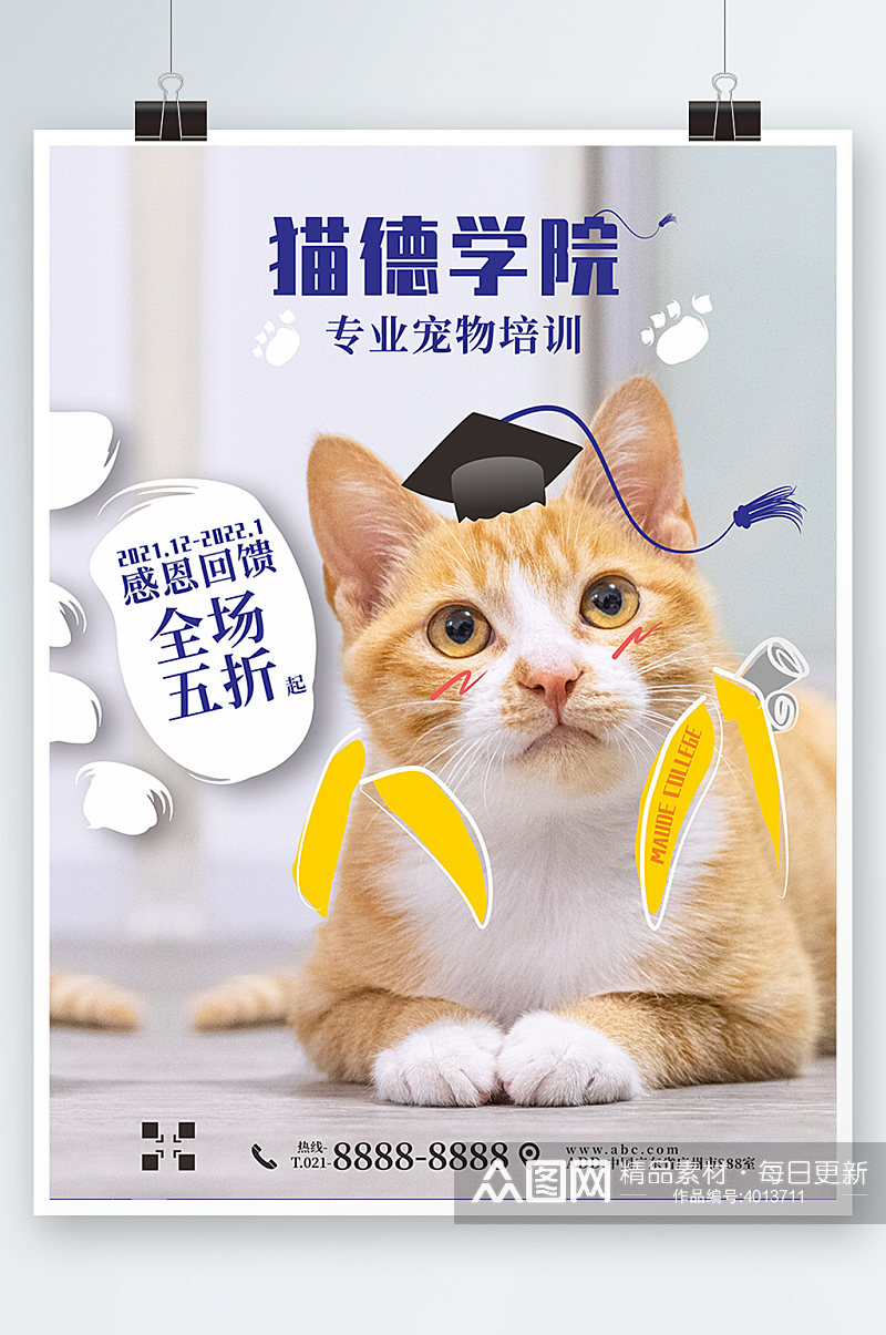cat宠物培训猫可爱开学优惠卡通行为海报素材