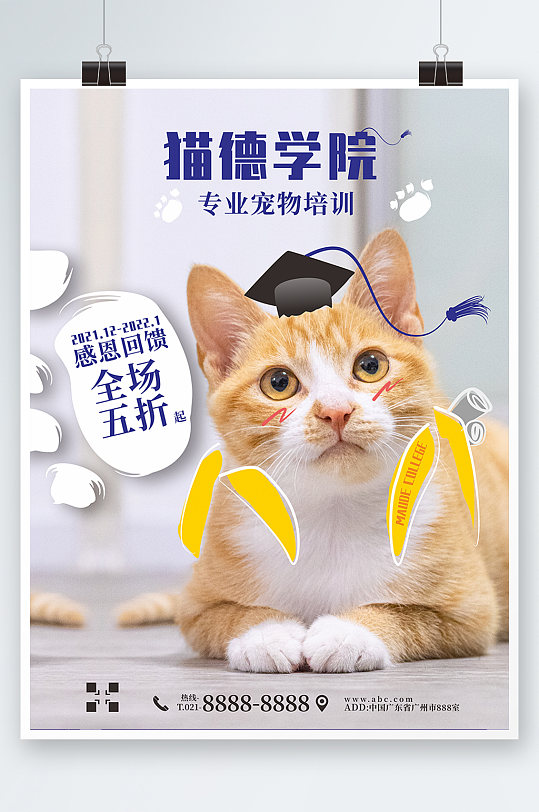 cat宠物培训猫可爱开学优惠卡通行为海报